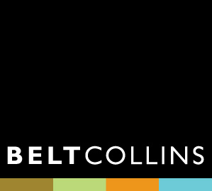 Norton Park 29 Belt Collins